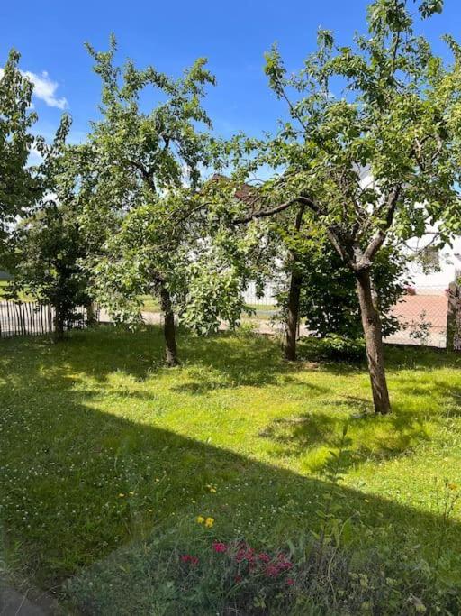 Wunderschoene Wohnung In Perfekter Lage Hilpoltstein Bagian luar foto